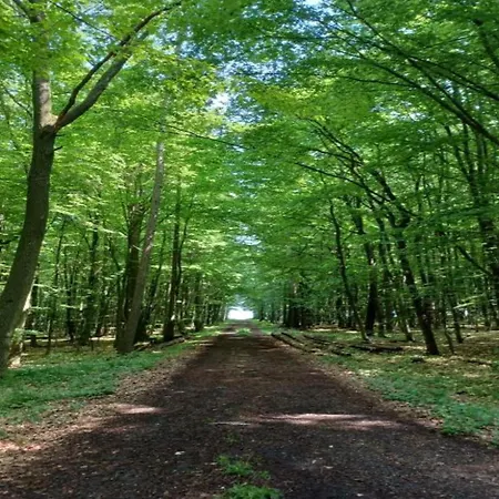 Apartment In Leuderode Beim Wildpark
